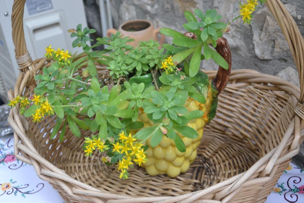 Bujtina Kodiket Guesthouse بيرات المظهر الخارجي الصورة